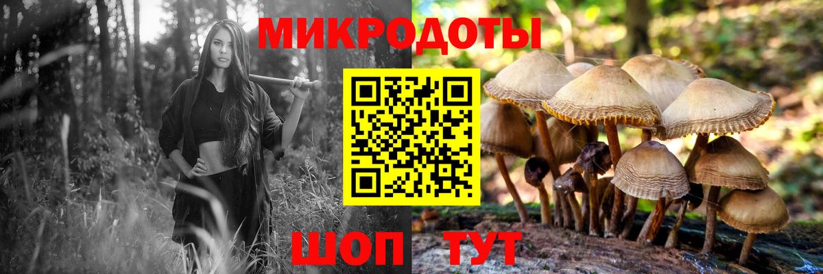 Псилоцибиновые грибы мухоморы Псков